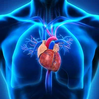 Structural_heart